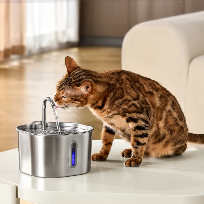 MichiFlow™ | Fuente Automática para Gatos
