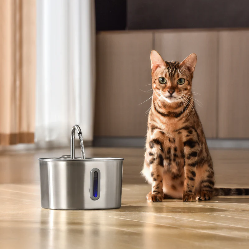 MichiFlow™ | Fuente Automática para Gatos
