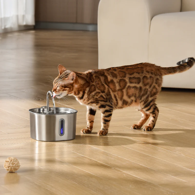 MichiFlow™ | Fuente Automática para Gatos